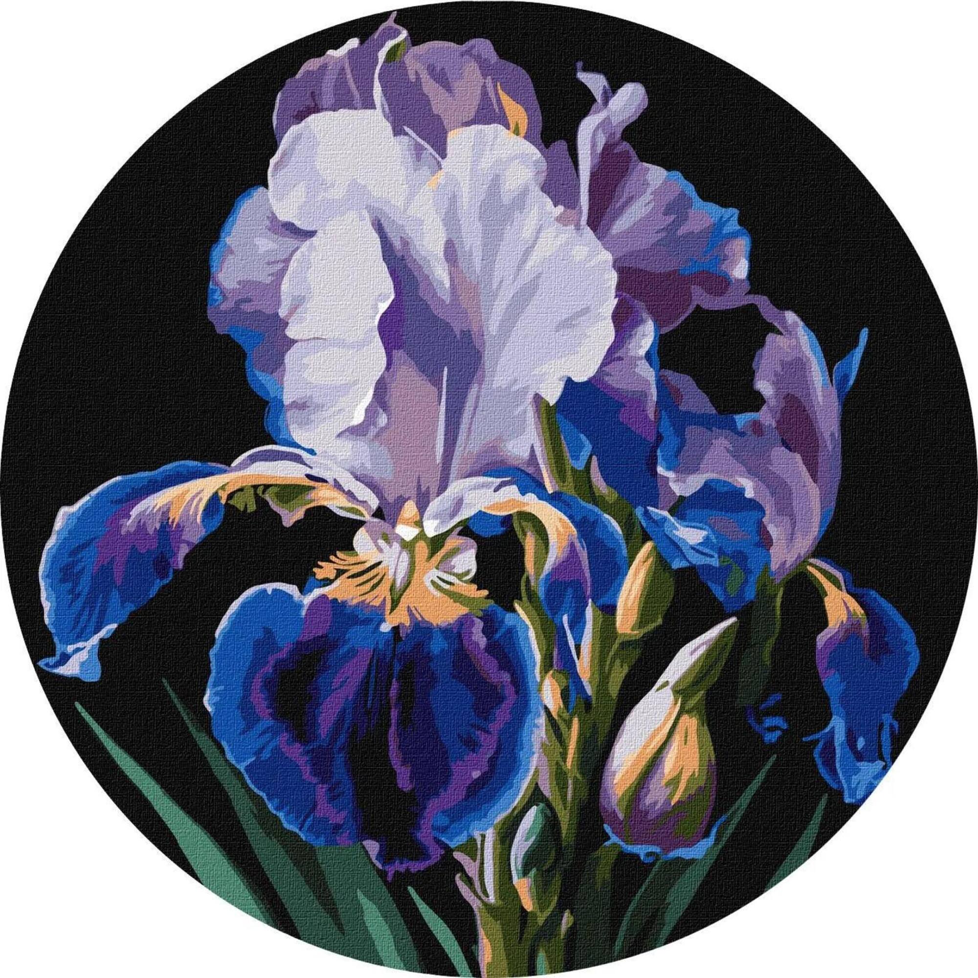 Ideyka Delicate Irises Painting by Numbers Kit